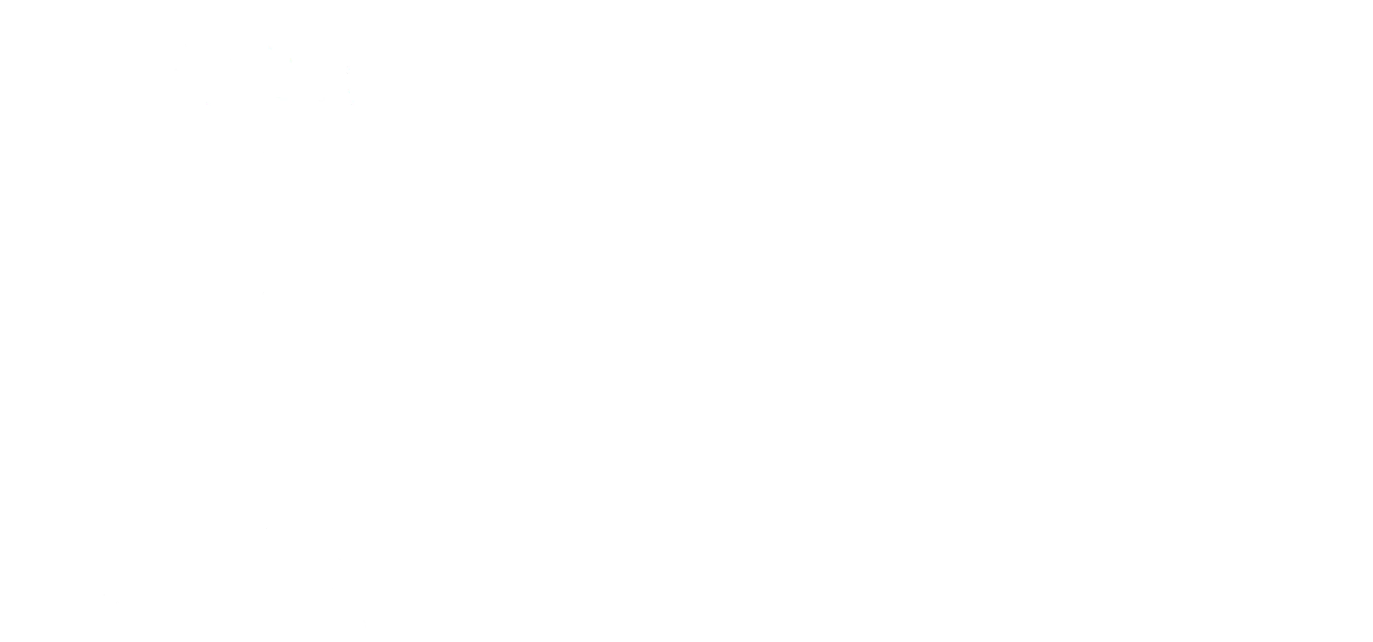 ECHEN | Teaching wellness through culture for our children youth and families.